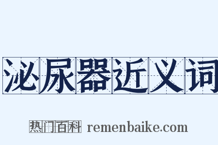 泌尿器近义词是什么意思的图片